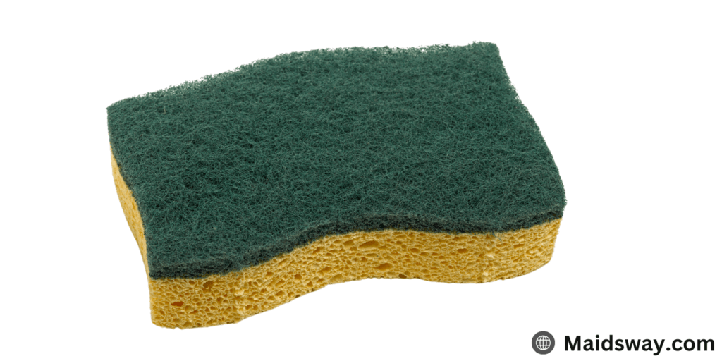10 Types of Cleaning Sponges: A Pro Cleaner's Guide to Choosing the Best Tool for Every Mess 1 types of sponges