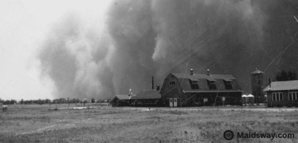Minimize Dust: How to Reduce Dust at Home 4 Dust Bowl