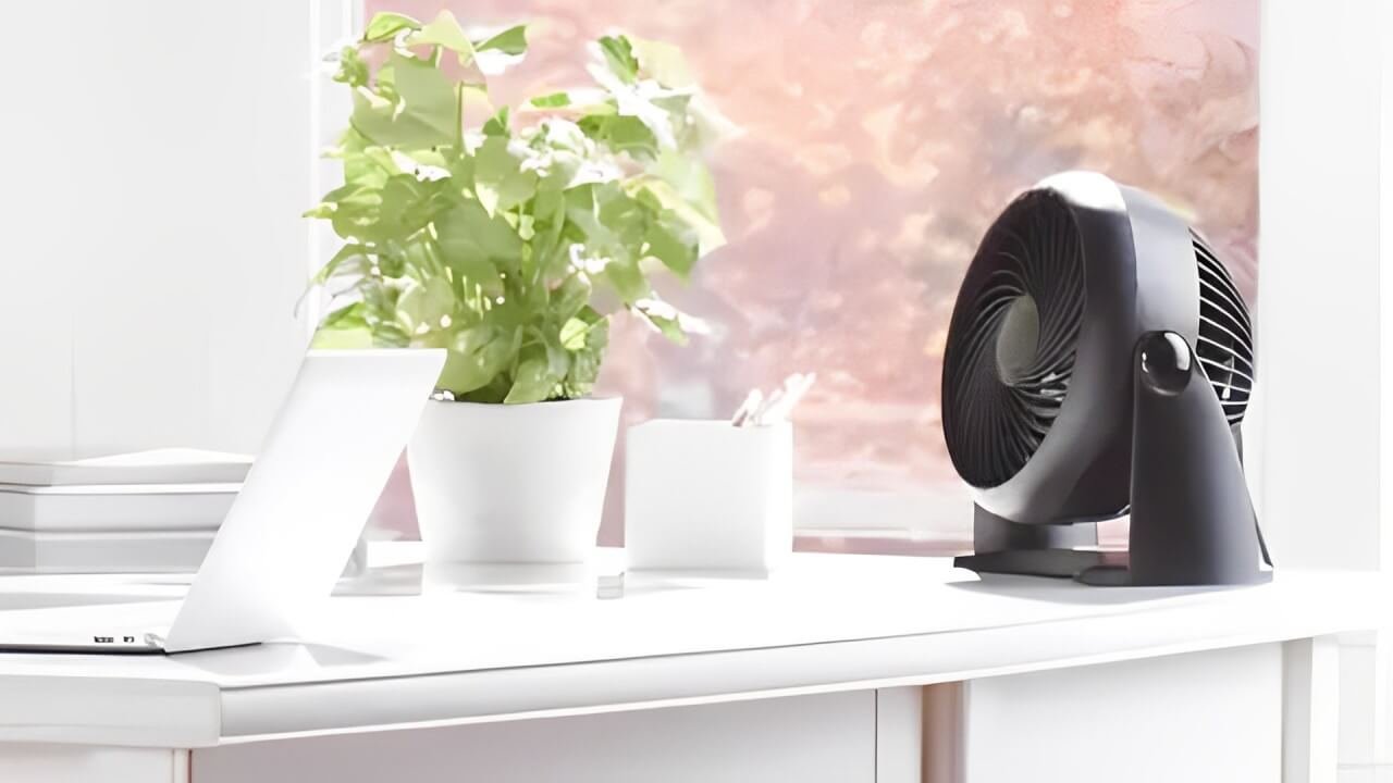 How To Clean A Fan: Simple Steps for All Types of Fans 2 Honeywall fan