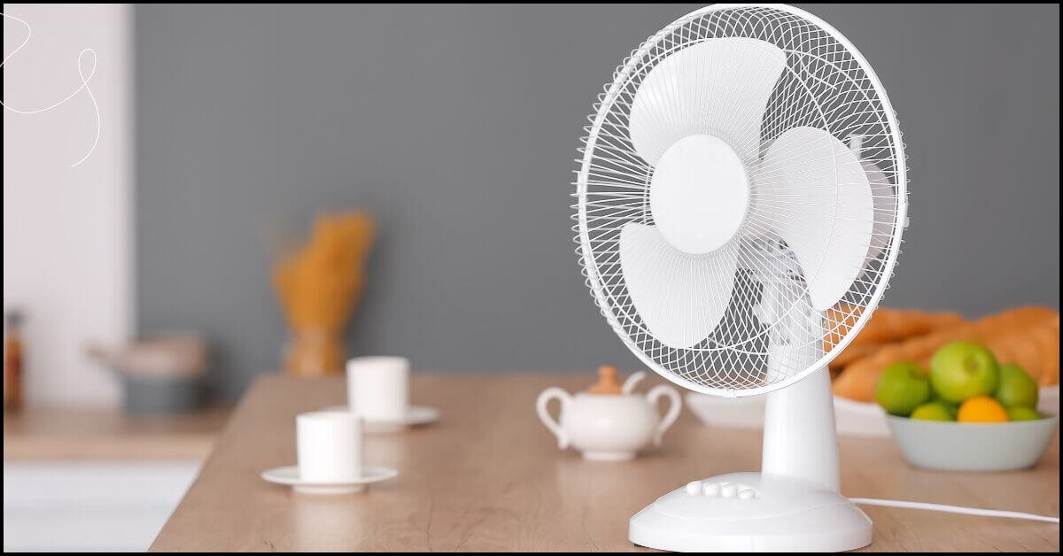 How To Clean A Fan: Simple Steps for All Types of Fans 3 Table fan