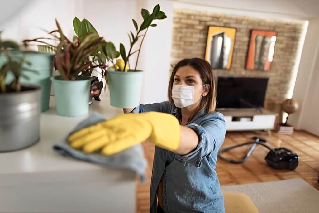 Golden Rules of Dusting: How to Dust Properly for a Cleaner Home 1 best dusting method