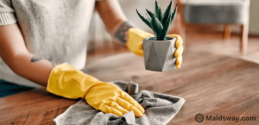 Minimize Dust: How to Reduce Dust at Home 2 remove dust from home