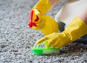 How to Remove Pet Urine Stains and Odor from Carpet: Effective Solutions 2 How to Remove Pet Urine Stains and Odor from Carpet